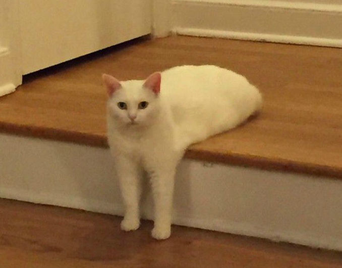 anh che noi bat nam 2016 anh 17