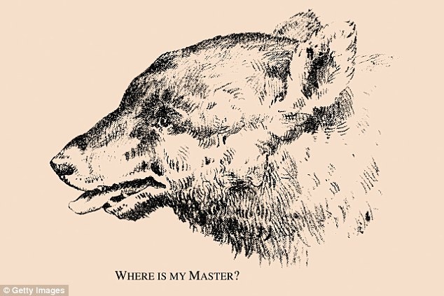 cau do hai nao anh 1