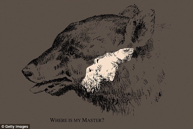 cau do hai nao anh 2