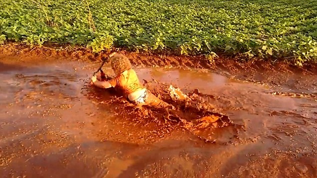 con đùa nghịch trong vũng nước bẩn ảnh 1 con dua nghich trong vung nuoc ban anh 1