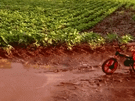 Cau be vui dua trong vung nuoc ban hinh anh