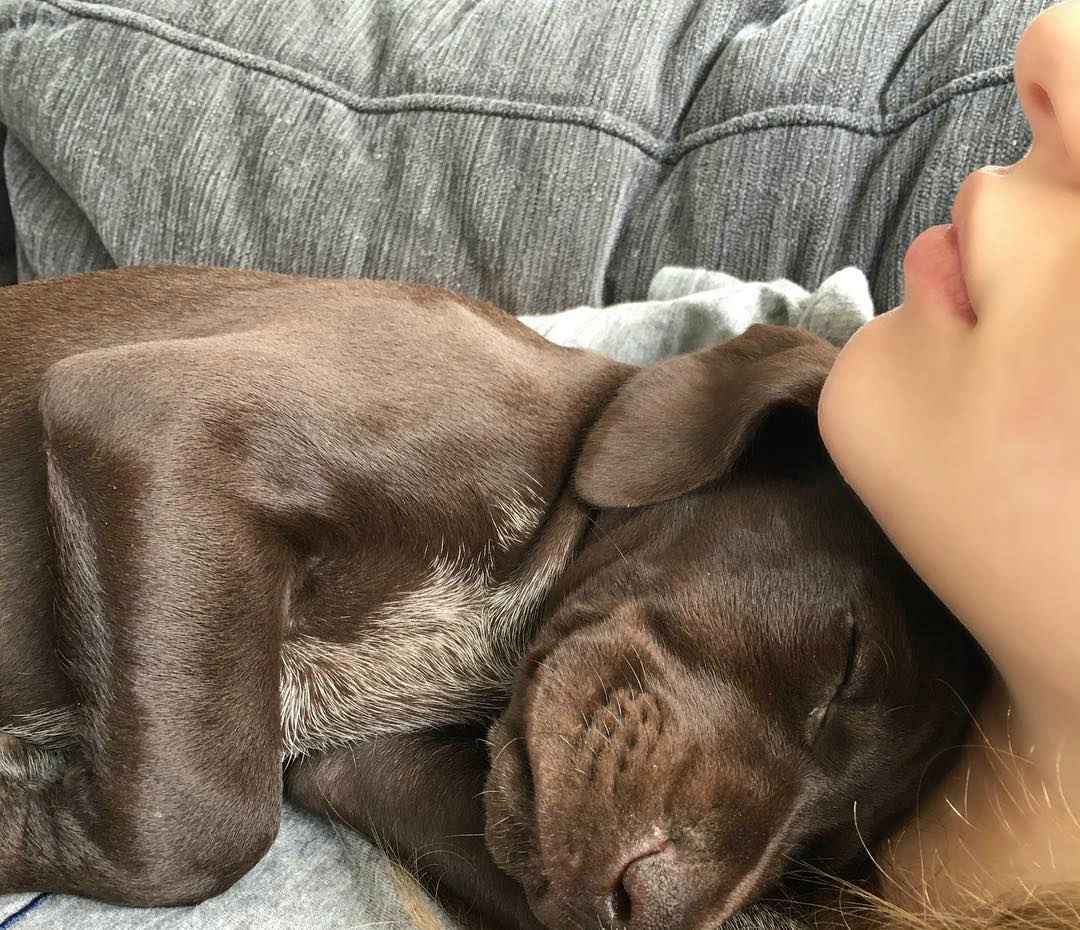 Co gai bi an noi tieng mang anh 3