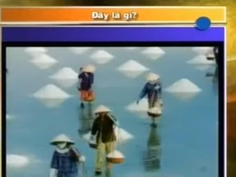 Cau hoi gay tranh cai tai chung ket Olympia 2011 hinh anh