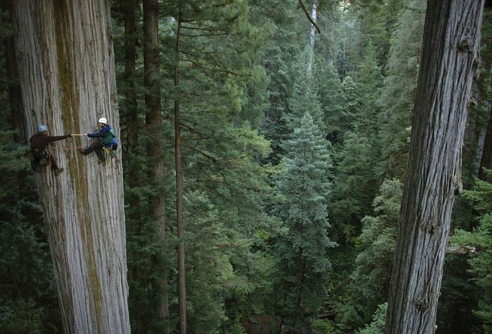 cac pha mao hiem nhat the gioi anh 6