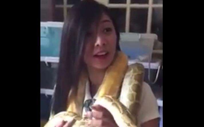 Kheny dua nghich cung chu ran vang hinh anh