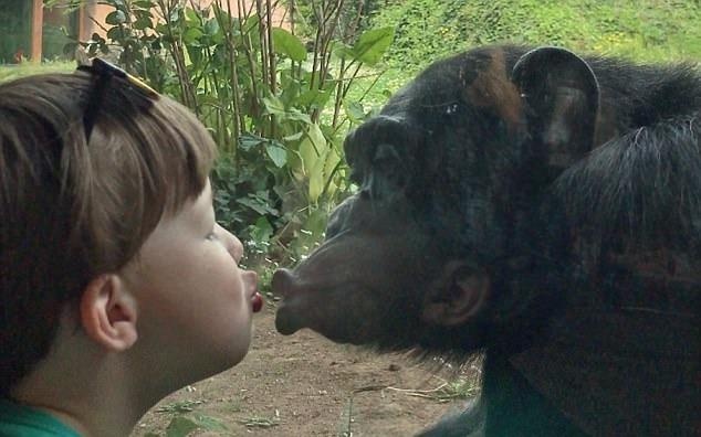 Nolan va 'co ban' tinh tinh hon nhau qua lop kinh hinh anh