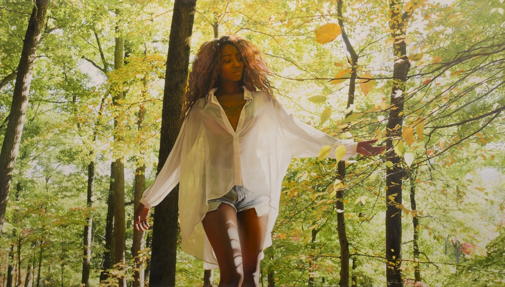 tranh ve giong het anh chup anh 12