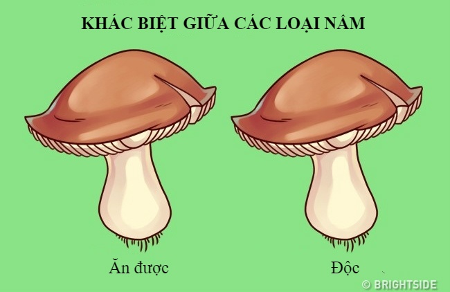 quy luat cuoc song anh 9