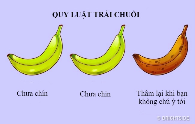 quy luat cuoc song anh 4