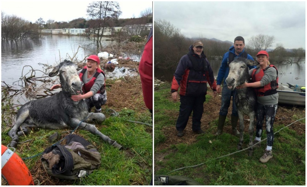 khoanh khac dep trong cuoc song anh 13