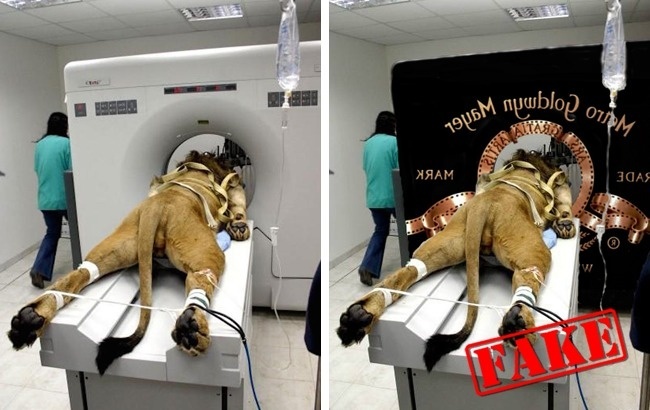 anh fake noi tieng nhat anh 6