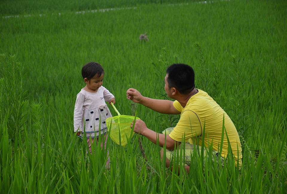 cha đào mộ cho con gái ốm nặng ảnh 2 cha dao mo cho con gai om nang anh 2