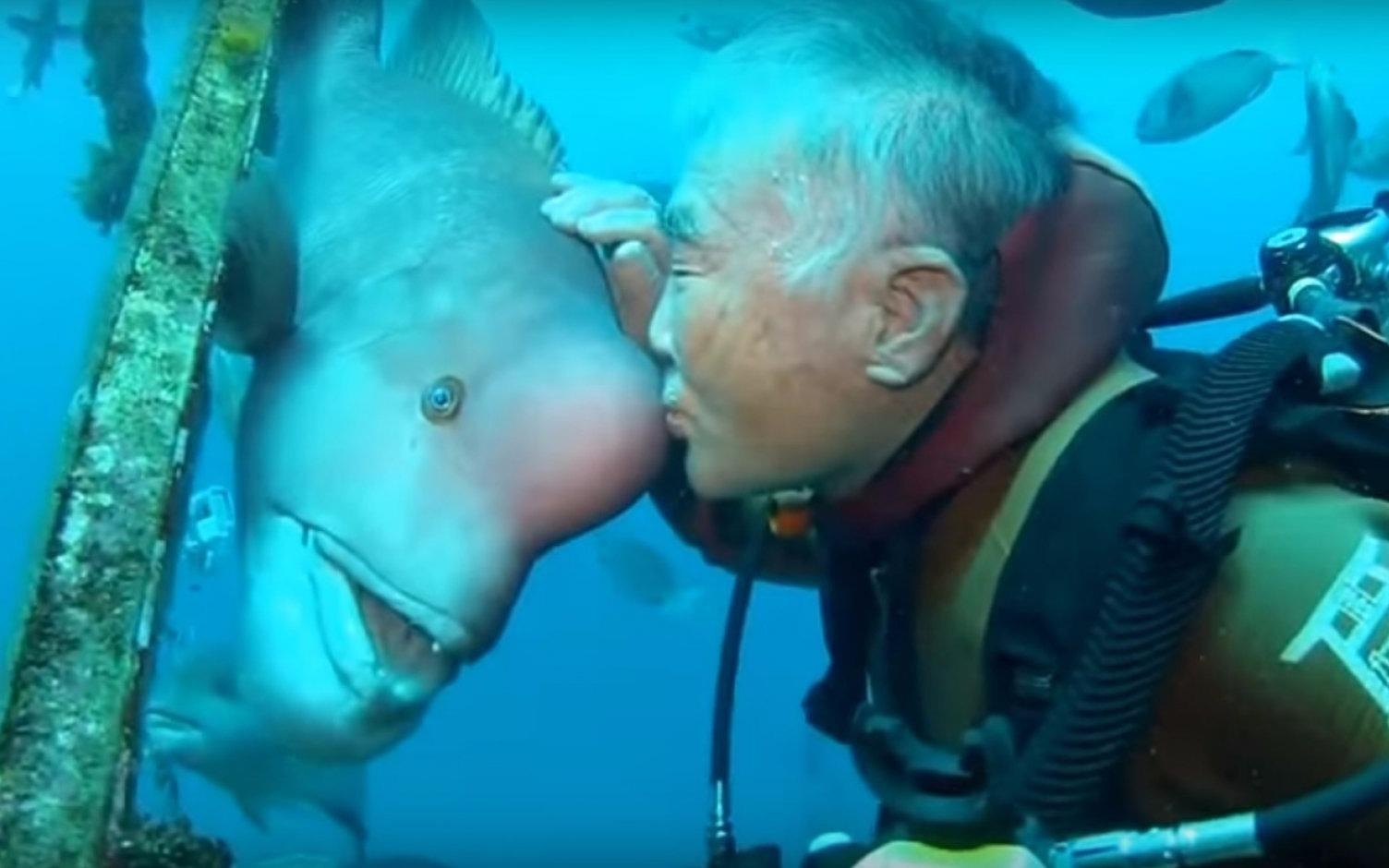 Tinh ban 30 nam cua tho lan gia va con ca xau xi hinh anh