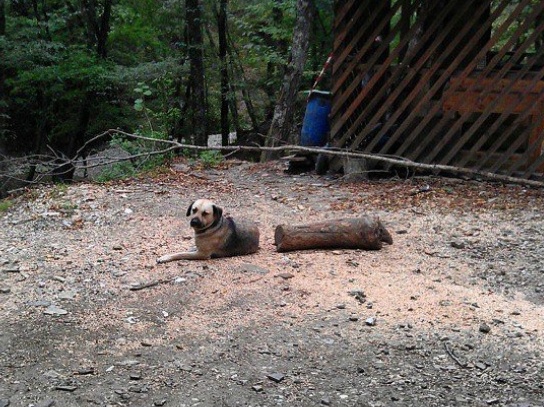 ảnh hài hước nhờ chụp đúng thời điểm ảnh 10 anh hai huoc nho chup dung thoi diem anh 10