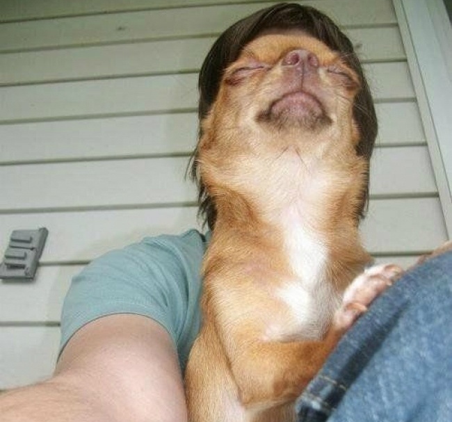 ảnh hài hước nhờ chụp đúng thời điểm ảnh 13 anh hai huoc nho chup dung thoi diem anh 13