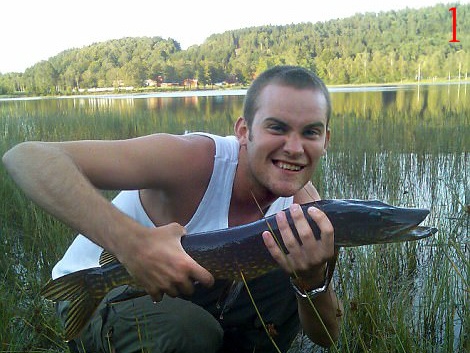 phan biet anh that anh gia anh 5