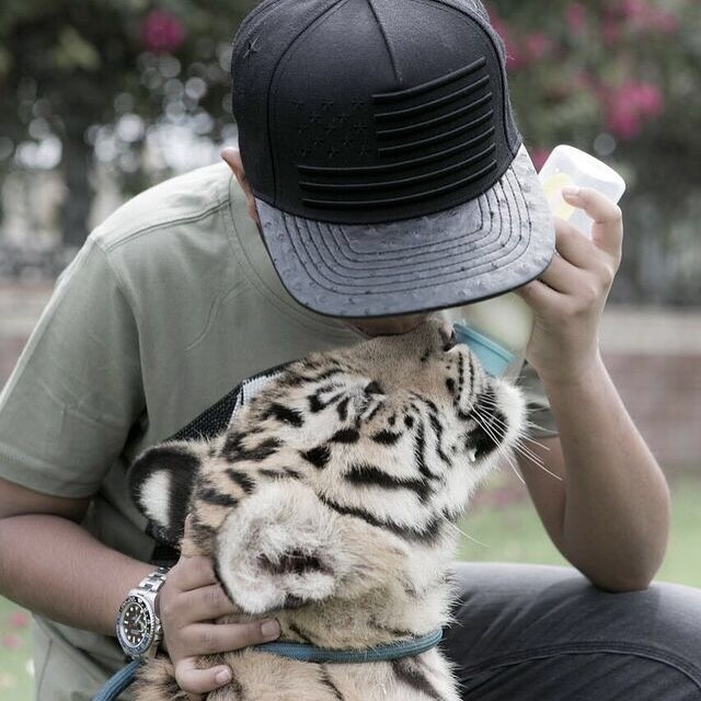 thiếu gia Dubai ảnh 5 thieu gia Dubai anh 5