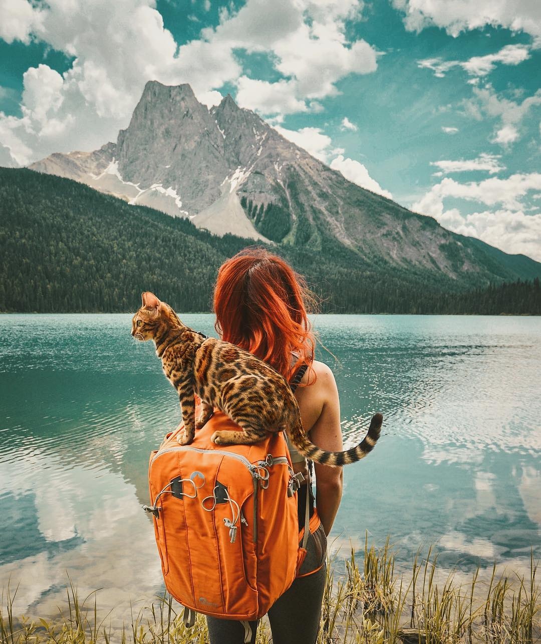 chu meo du lich noi tieng Instagram anh 11