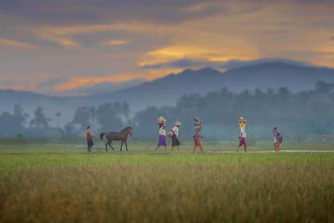 nhiếp ảnh gia không tay chân ảnh 9 nhiep anh gia khong tay chan anh 9