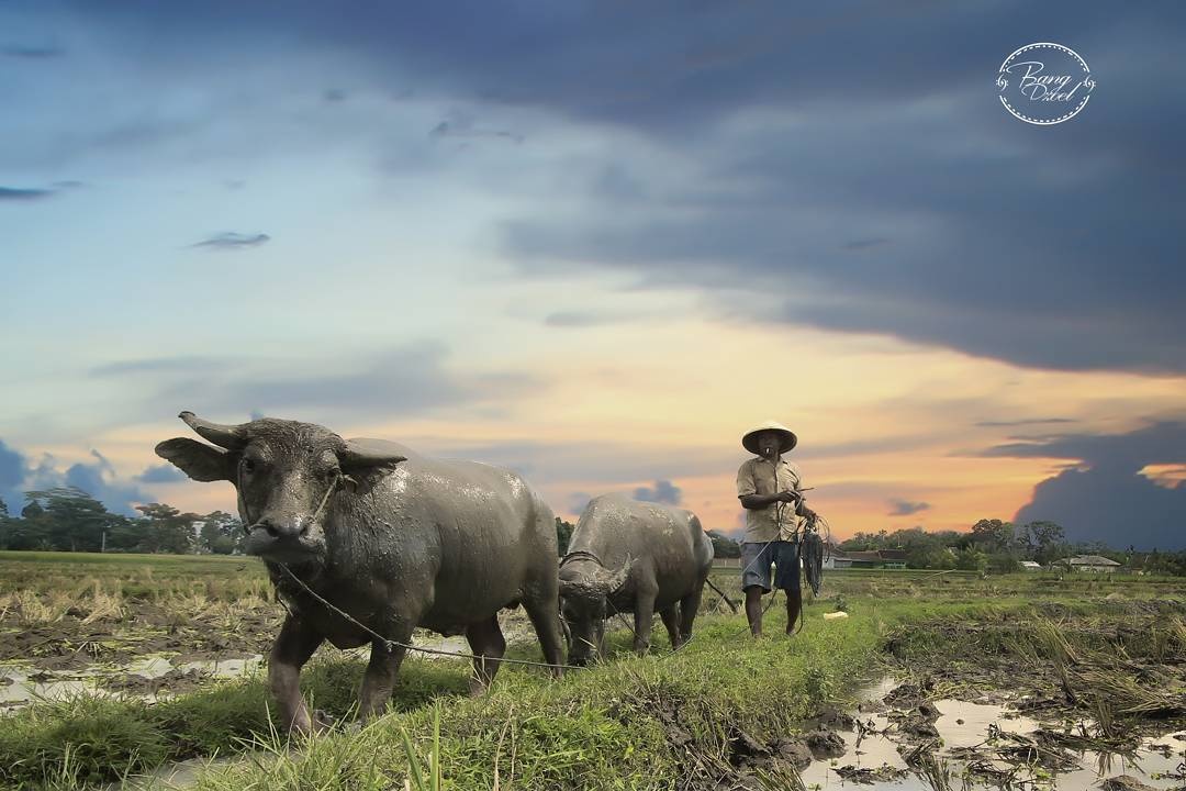 nhiếp ảnh gia không tay chân ảnh 8 nhiep anh gia khong tay chan anh 8