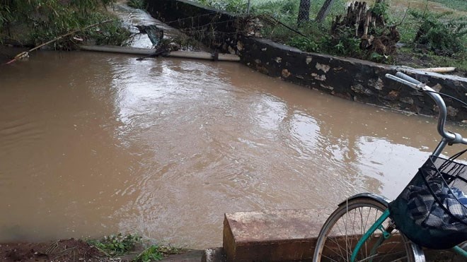nam sinh cứu người trong nước lũ ảnh 2 nam sinh cuu nguoi trong nuoc lu anh 2