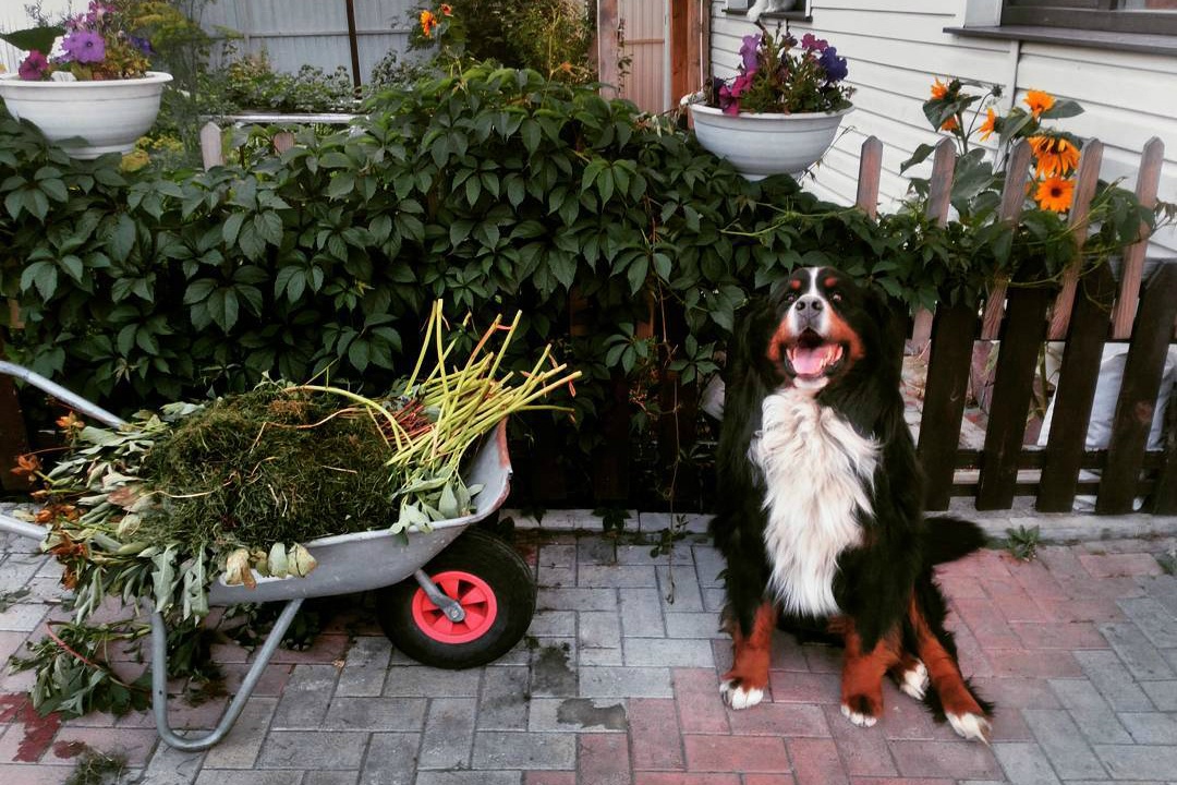 trend chup anh tren mang xa hoi anh 5