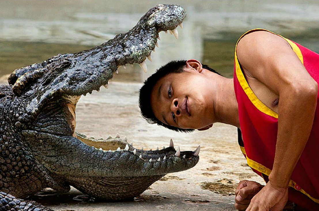 nghề nguy hiểm nhất thế giới ảnh 9 nghe nguy hiem nhat the gioi anh 9