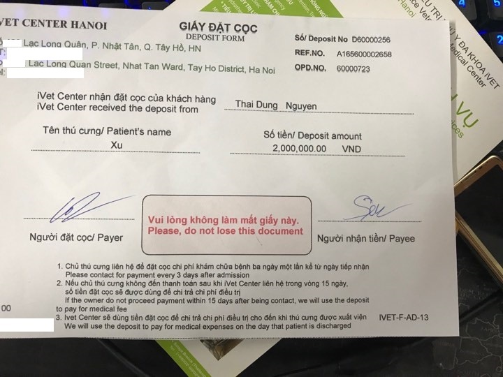 chàng trai chạy chữa cho mèo bị thương nặng ảnh 8 chang trai chay chua cho meo bi thuong nang anh 8