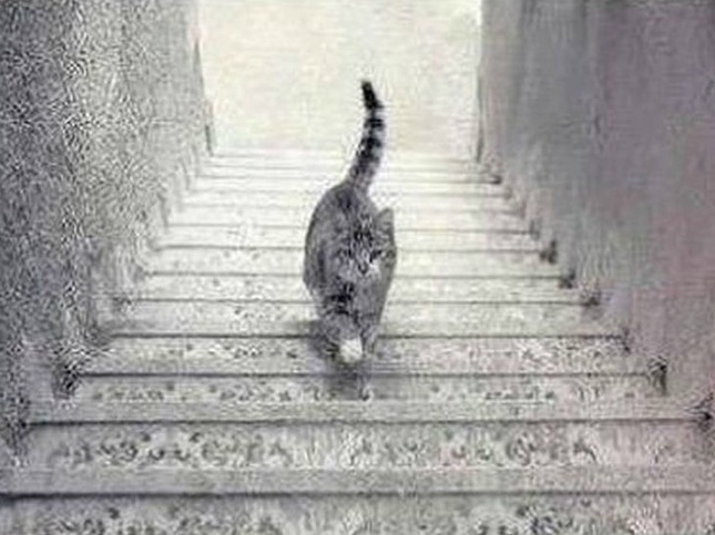 ảnh đánh lừa thị giác ảnh 4 anh danh lua thi giac anh 4