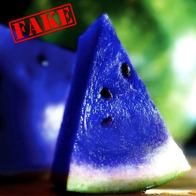 anh fake noi tieng anh 6