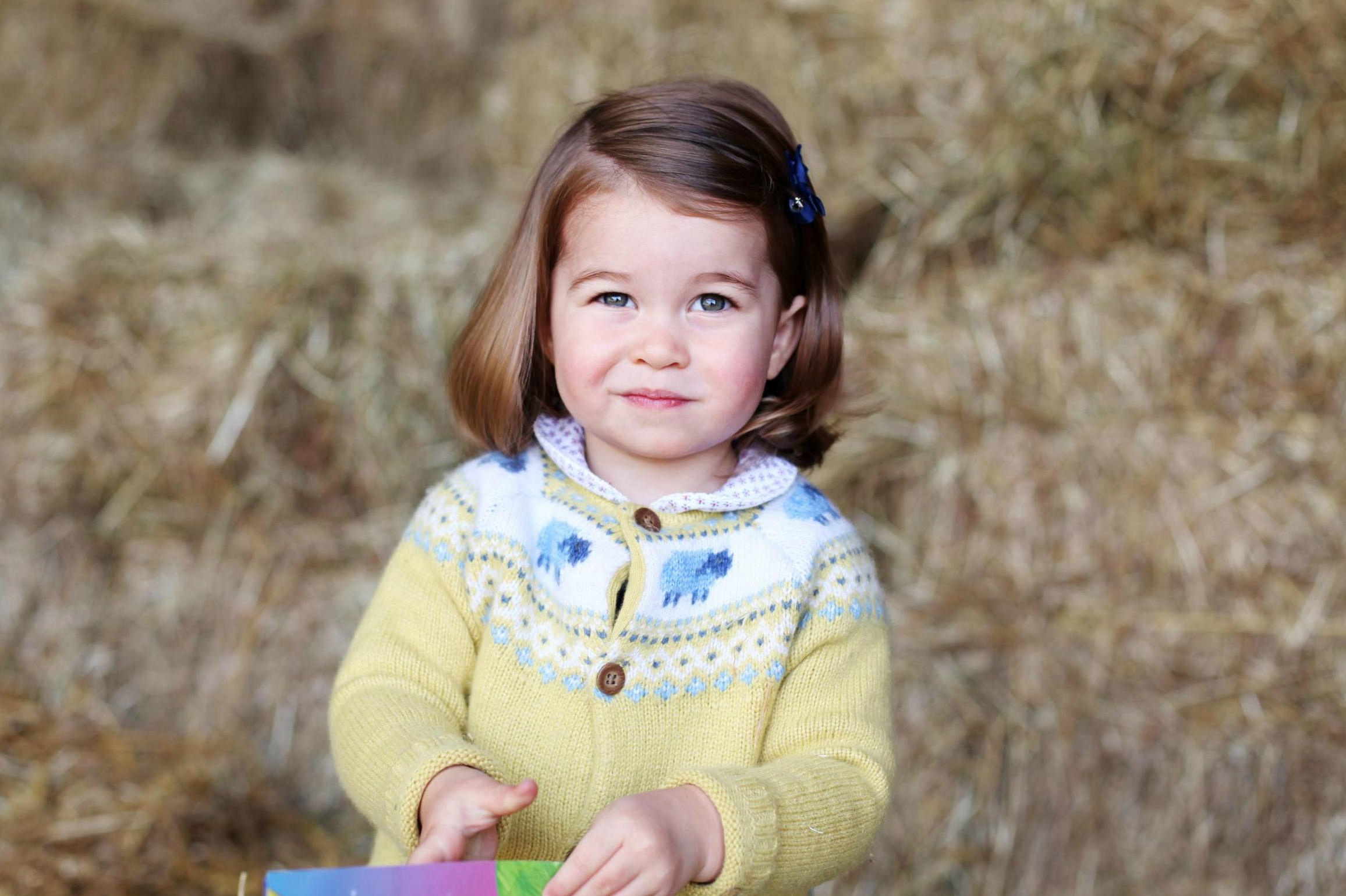 Hoang tu cong chua noi tieng the gioi anh 3