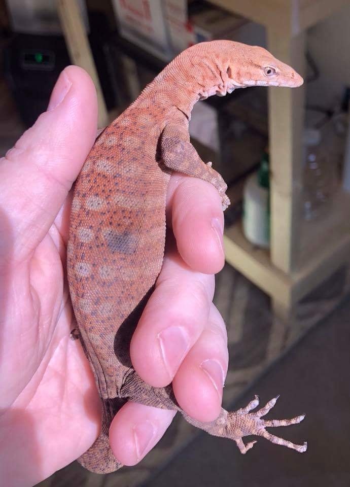 chia tay ban gai vi cham soc bo sat anh 4