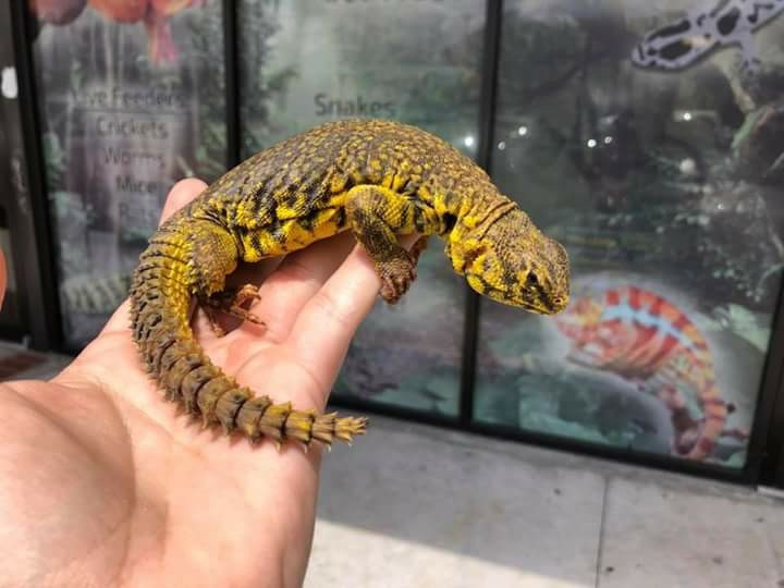 chia tay ban gai vi cham soc bo sat anh 6