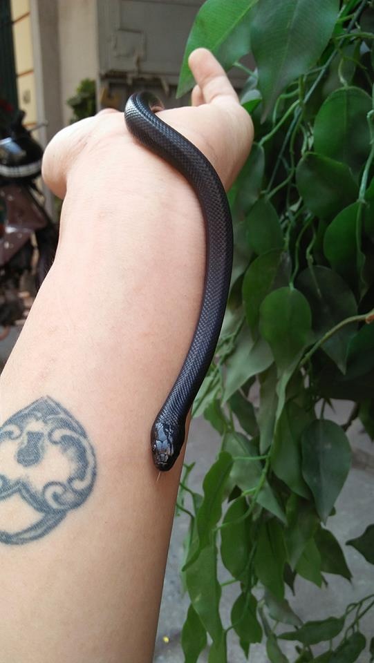 chia tay ban gai vi cham soc bo sat anh 8