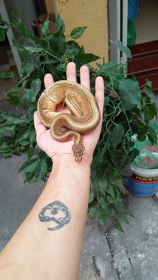 chia tay ban gai vi cham soc bo sat anh 9