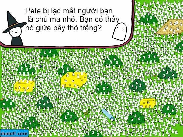 Chu ma mau trang tron o dau giua bay tho con? hinh anh