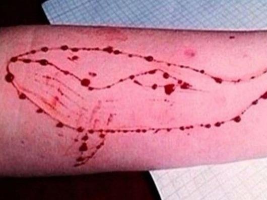 Hoc sinh gioi, chi em ruot khong thoat khoi cai chet vi 'Ca voi xanh' hinh anh