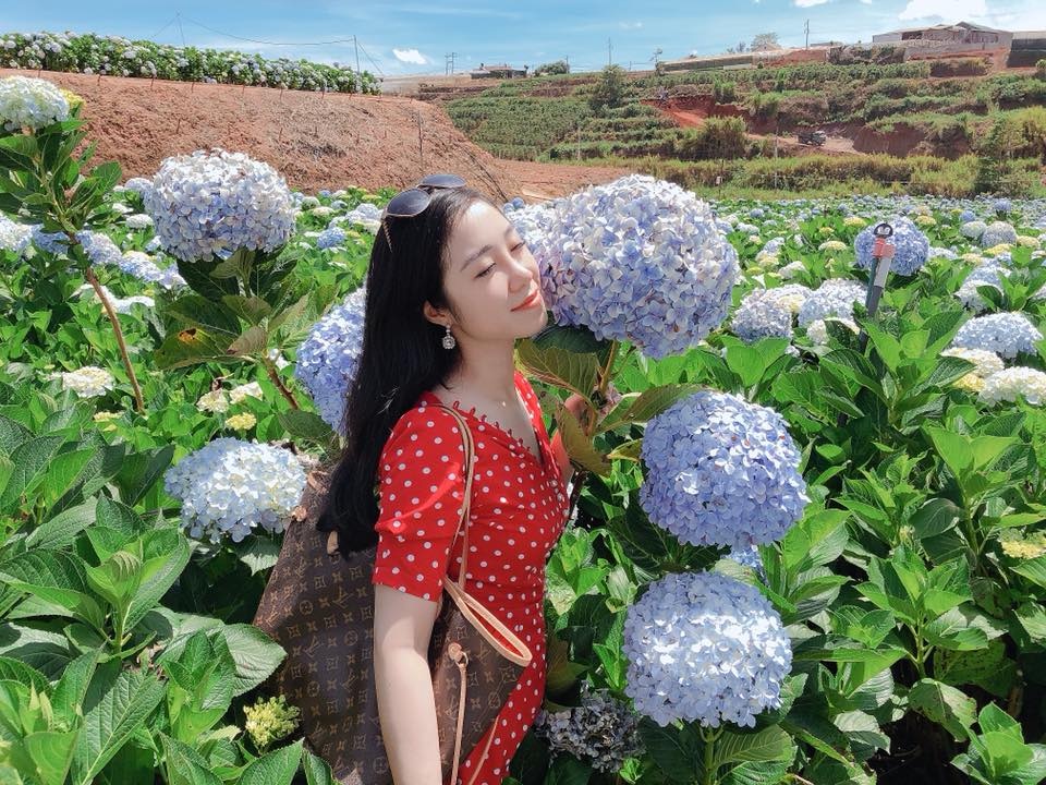 hoa khoi Bao chi anh 2