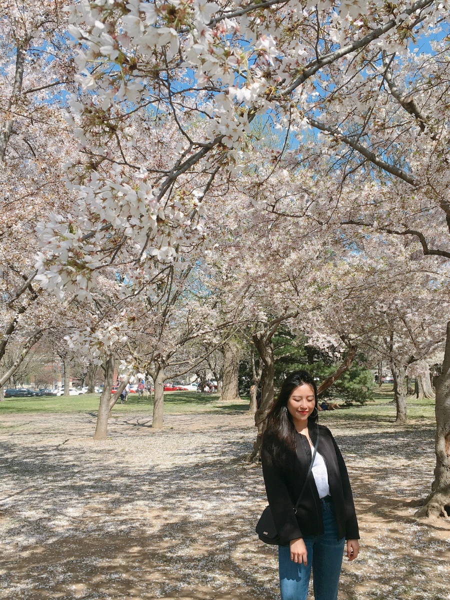 hoa khoi bao chi anh 7