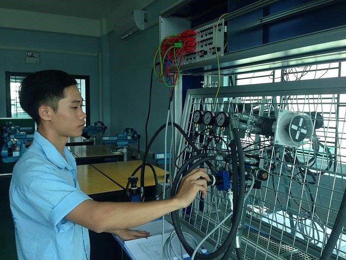 phân luồng sau trung học cơ sở  ảnh 2 phan luong sau trung hoc co so anh 2