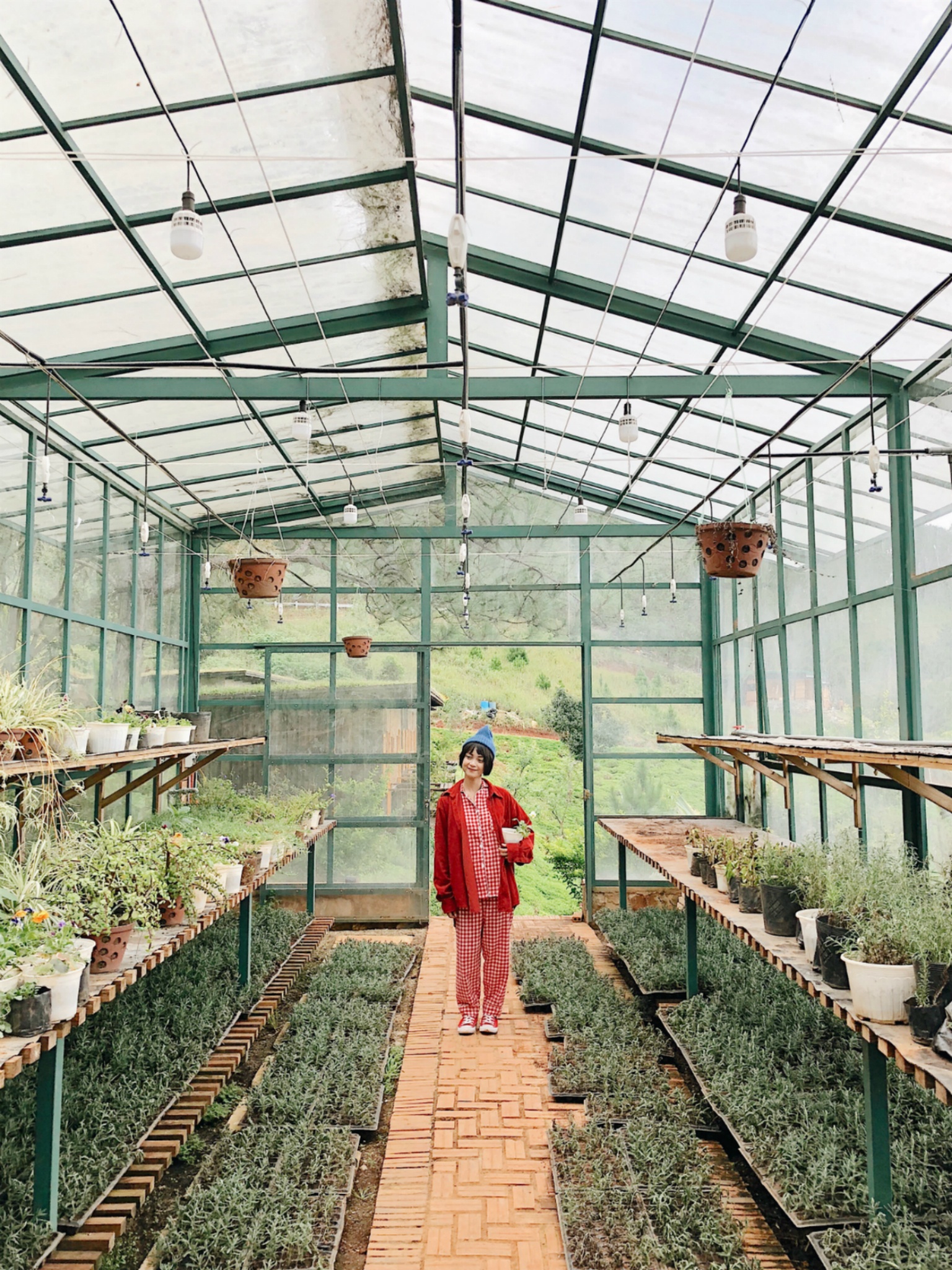 Mai Ky Han va Long Tran anh 7