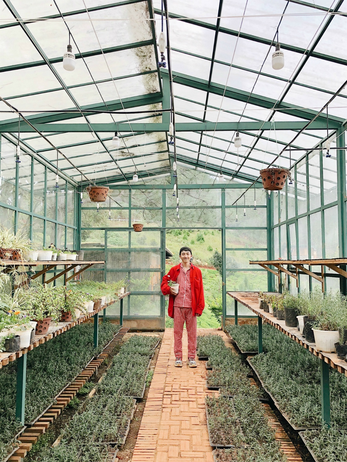 Mai Ky Han va Long Tran anh 9