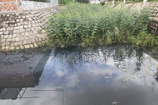 học sinh đeo khẩu trang trong lớp học ảnh 5 hoc sinh deo khau trang trong lop hoc anh 5