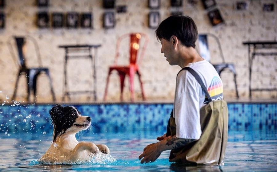 Chi nua trieu USD xay nha cho chu cho giup minh doi doi hinh anh