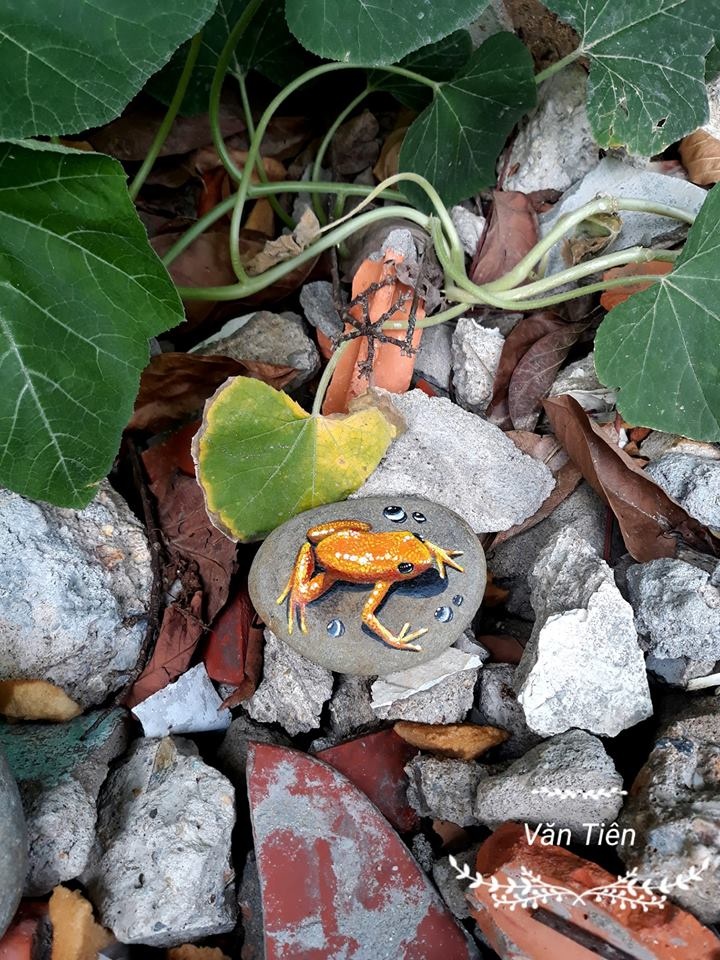 ve tranh tren da cuoi anh 11