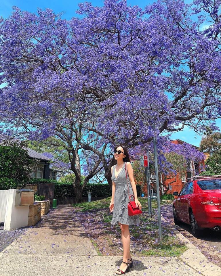 co gai Viet day tieng Anh o Australia anh 5