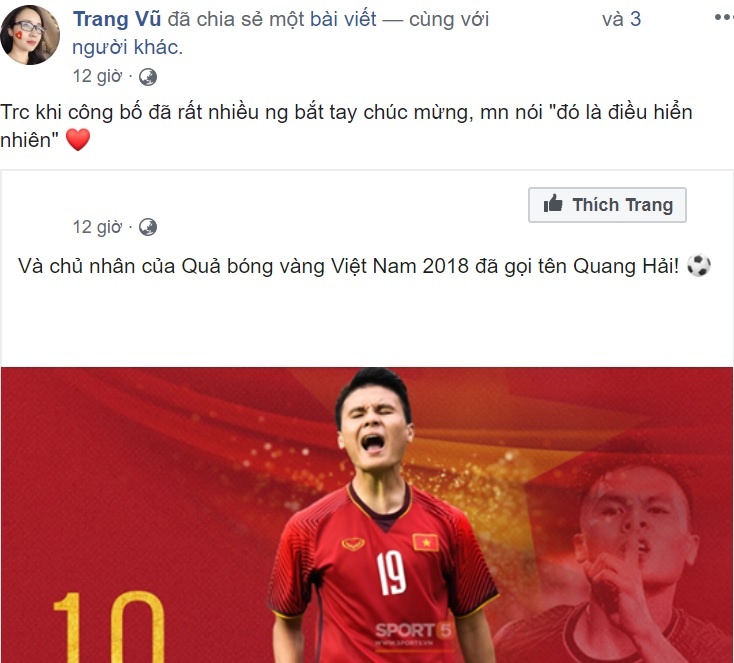 Qua bong vang Viet Nam 2018 anh 2