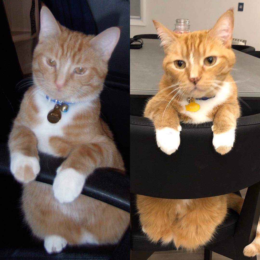 trao luu 2009 vs 2019 anh 6