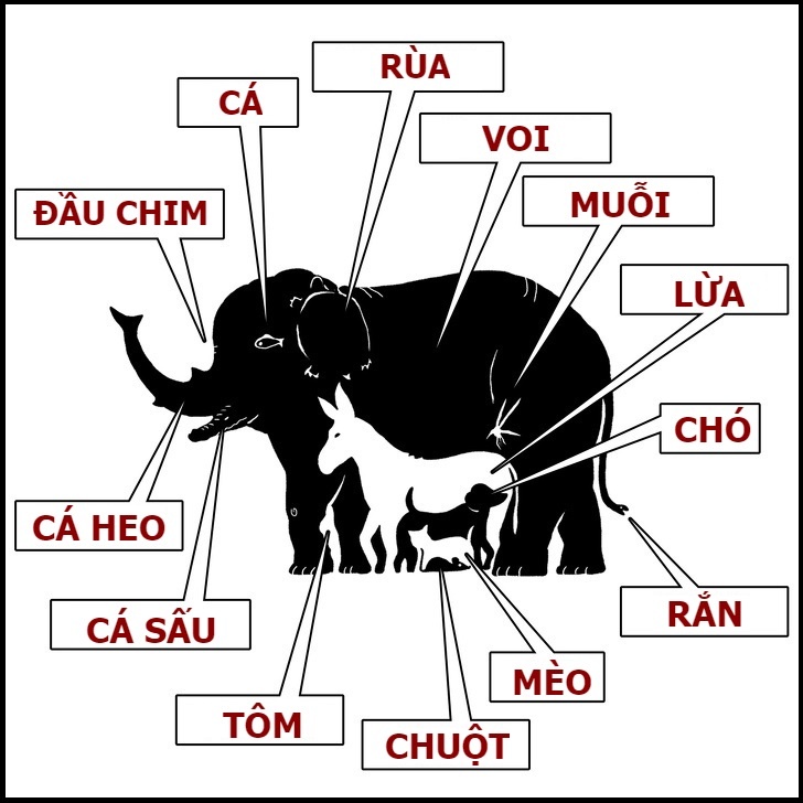 cau do tinh toan anh 2