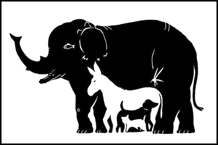 cau do tinh toan anh 1